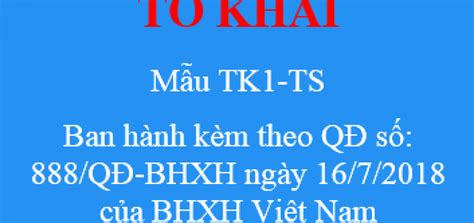 TK1-TS Ban Hành Kèm Theo QĐ Số 888 QĐ-BHX: Giải Pháp Toàn Diện Cho Quản Lý Quỹ BHXH