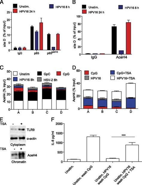 TLR9 transcriptional regulation in response to double-stranded …