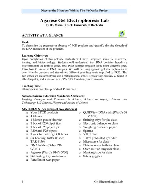 TM Agarose Gel Electrophoresis Lab Activity Study Guide - wintechmobiles.com