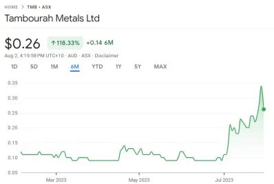 TMB.AX Tambourah Metals Limited share price Fundamentals …