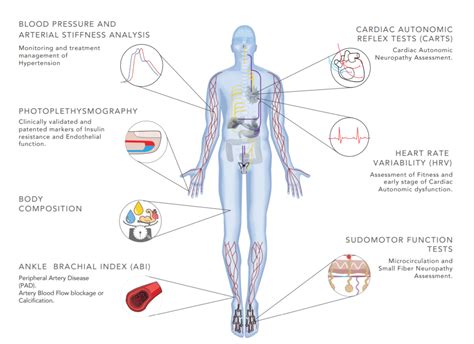 TMFlow System WellnessScreening