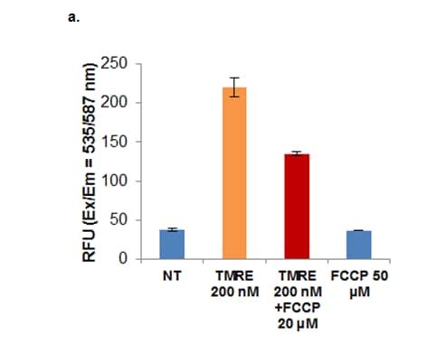 TMRE Mitochondrial Membrane Potential Assay Kit (ab287864)