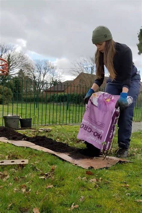 To dig or not to dig – Groundwork East - Groundwork - raincitystudios.com