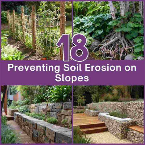 To prevent soil erosion on the slopes of the - studyx.ai - raincitystudios.com