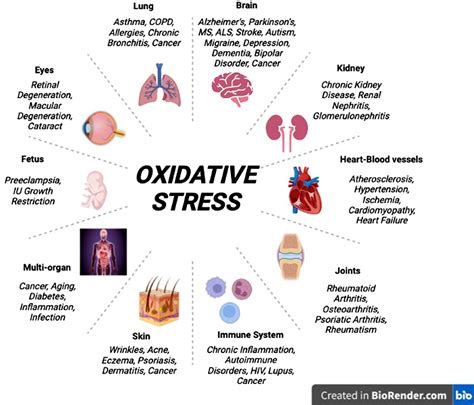 To study Role of oxidative stress & antioxidant enzymes in the ... - muktibox.com