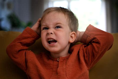 Toddler Aggression: When to Worry and How to Handle It - balustradellc