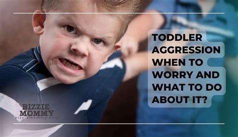 Toddler Aggression: When To Worry - balustradellc