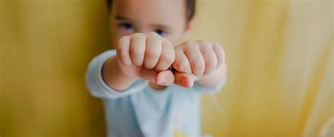 Toddler Aggression Is A Phase. But It Still Bites. - balustradellc