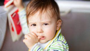 Toddler Biting: Finding the Right Response - ZERO TO … - balustradellc
