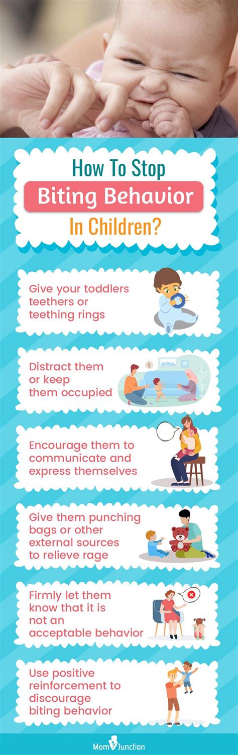 Toddler Biting: What To Do and How To Stop it - Happy … - balustradellc