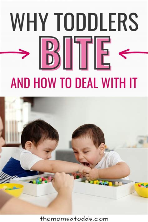 Toddlers who bite: what it means and when to worry - balustradellc