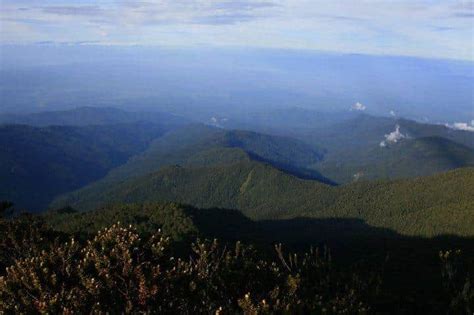Tolangi Balease - balustradellc
