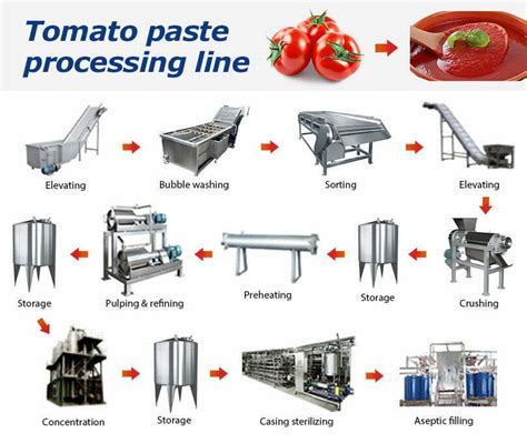 Tomato paste production line,tomato sauce processing … - raincitystudios.com