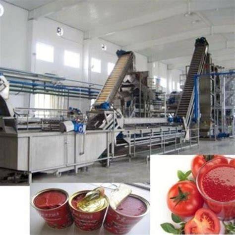 Tomato Processing Plant - Tomato Ketchup Making … - raincitystudios.com