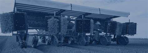 Tomato Transplanter & Planting Machines - Ferrari Growtech - raincitystudios.com