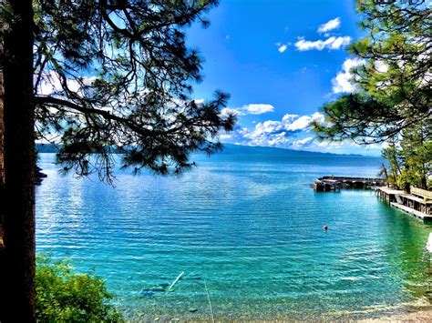 Too beautiful not to share. And the scent… absolutely captivating ... - balustradellc