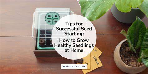 Tools and Tips for Successful Ecosourced Seed Harvesting - raincitystudios.com