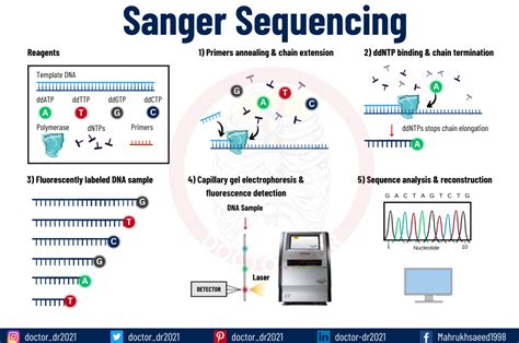 Tools for Viewing Sequencing Data | Free Sanger Chromatogram & NGS ... - muktibox.com