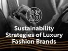Top 10: Sustainability Strategies of Luxury Fashion Brands - balustradellc