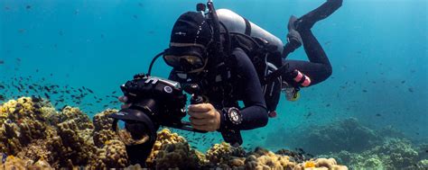 Top 10 beginner tips for shooting better underwater video - raincitystudios.com