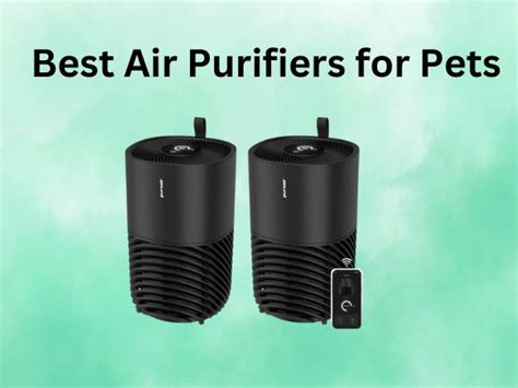 Top 10 Best Air Purifiers For Smoke As Of March, 2026 - balustradellc