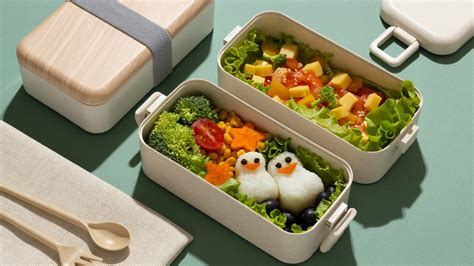Top 10 Best Bento Boxes for Adults in 2025 - balustradellc