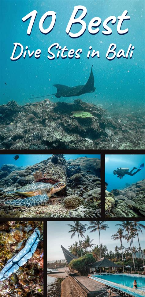 Top 10 Best Dive Sites in Bali, Indonesia - The … - balustradellc
