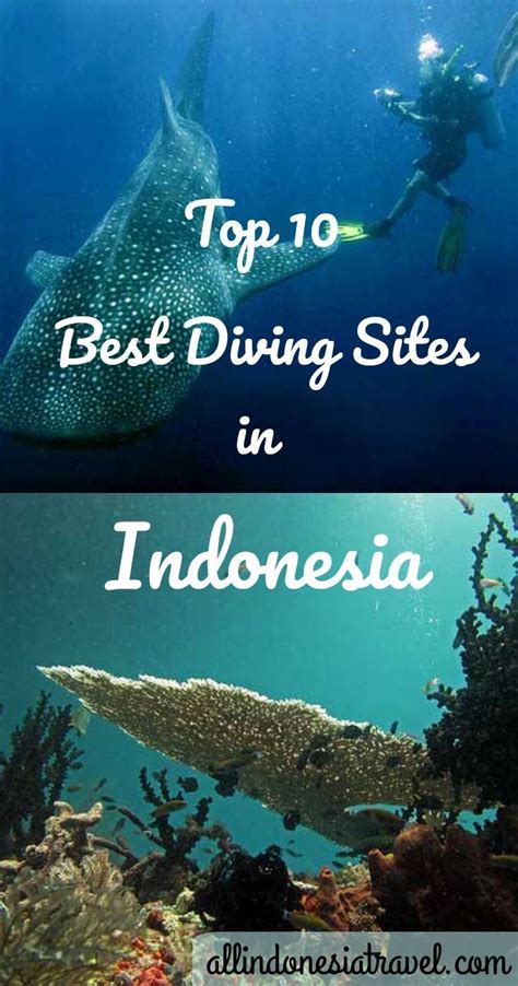 Top 10 Best Diving Sites in Indonesia - Indonesia Travel Guide - balustradellc