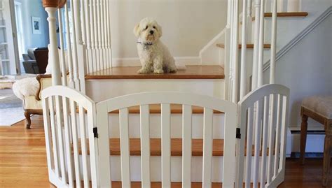Top 10 Best Dog Gates for Stairs - balustradellc