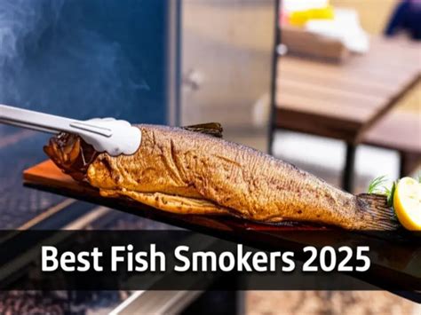 Top 10 Best Fish Smokers of 2025: Expert Picks - balustradellc