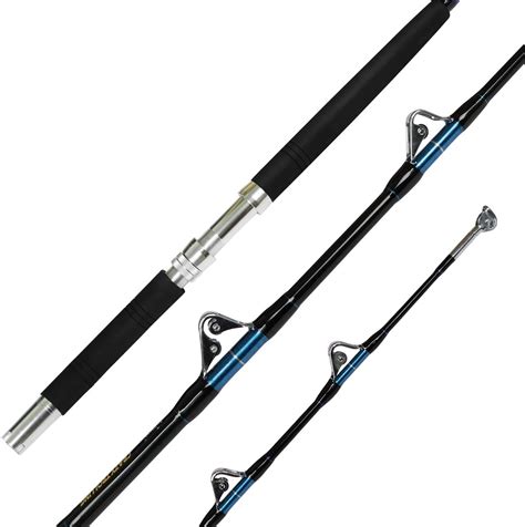 TOP 10 Best Saltwater Fishing Rods Reviewed 2026 - balustradellc