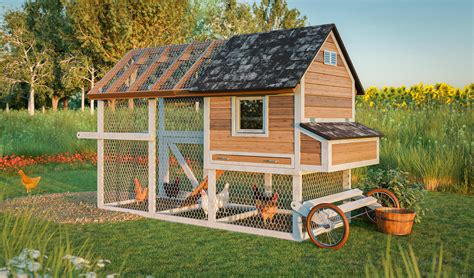 Top 10 Easiest to Build Free Chicken Coop Plans - balustradellc