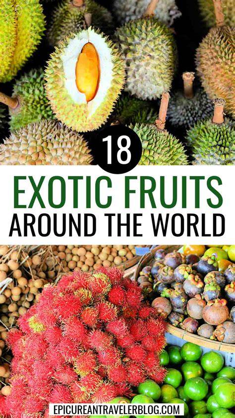 Top 10 Exotic Cloud Forest Around The Globe - raincitystudios.com
