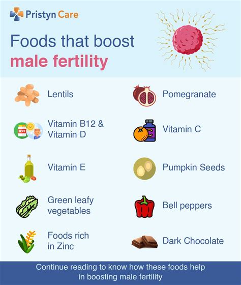 Top 10 Foods to Boost Sperm Count and Male Fertility Naturally - balustradellc