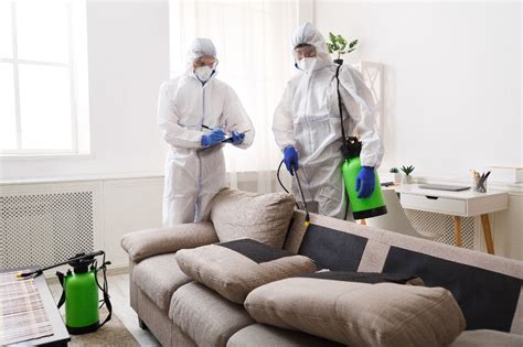 TOP 10 House Cleaning Services in Pflugerville, TX - Care.com