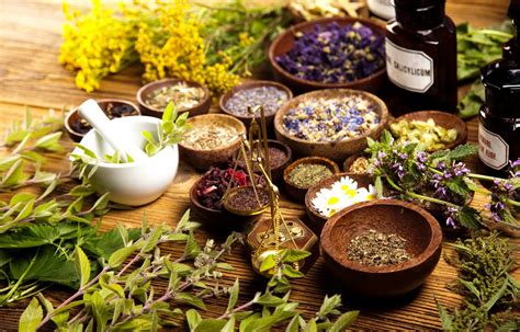 Top 10 Medicinal Heirloom Seeds for Proper Survival - balustradellc