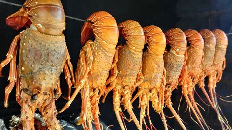 Top 10 Questions About Indonesian Lobster Export Answered by … - balustradellc