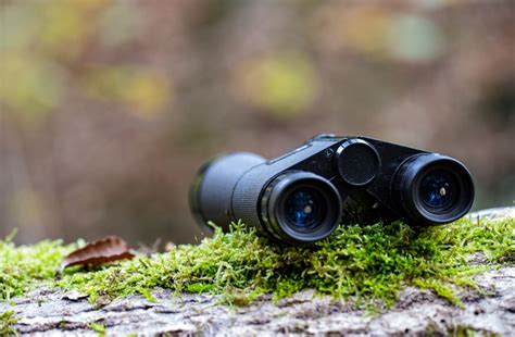 Top 10 rated high-quality binoculars for birdwatching - balustradellc