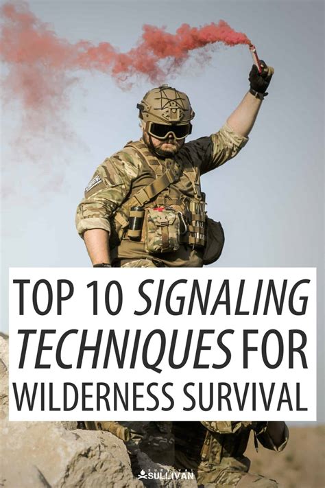 Top 10 Signaling Techniques for Wilderness Survival - balustradellc