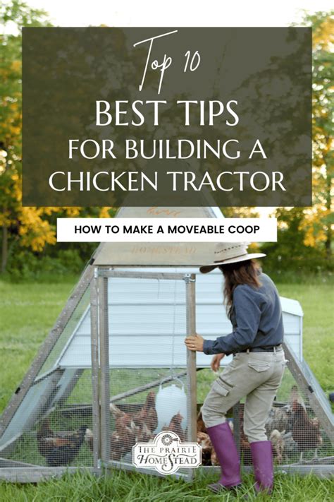 Top 10 Tips for Building a Chicken Tractor - The Prairie … - raincitystudios.com