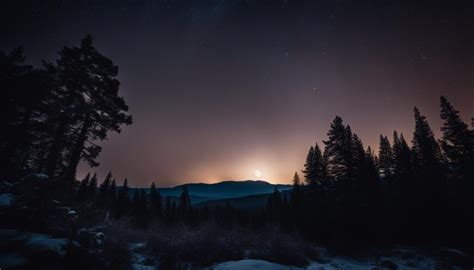 Top 10 Tips for Low Light Photography: Master the Night with ... - Insta360 - balustradellc