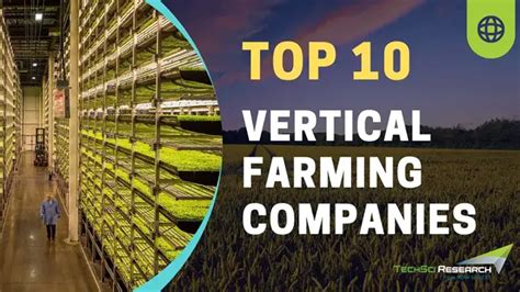 Top 10 Vertical Farming Companies in the World - Fortune Business … - balustradellc