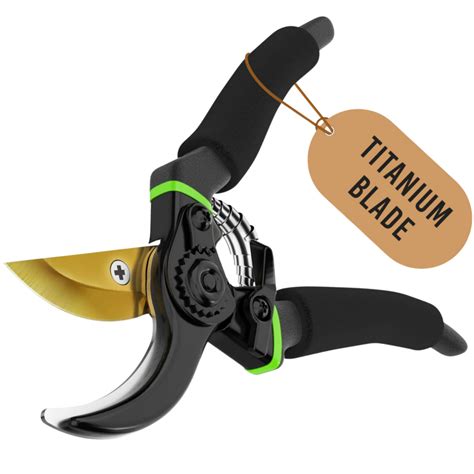 Top 11 Best Pruning Shears for Gardeners in 2026 - balustradellc