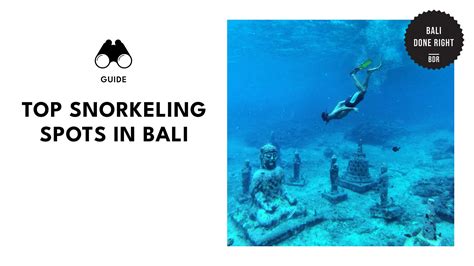 Top 11 Snorkeling Spots For Exploring Bali’s Underwater Worlds - balustradellc
