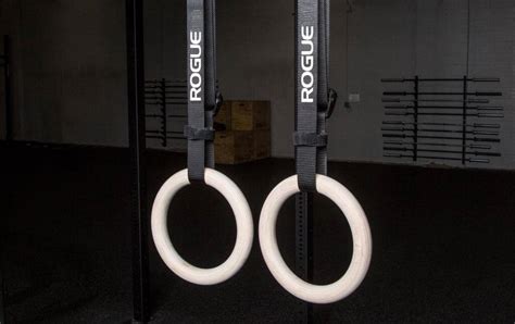 TOP 12 Best Gymnastic Rings for Home or Garage … - balustradellc