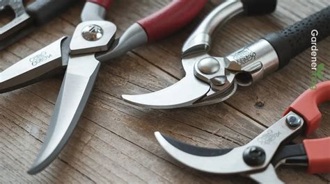 Top 12 Best Pruning Shears of 2026: Essential Garden … - balustradellc