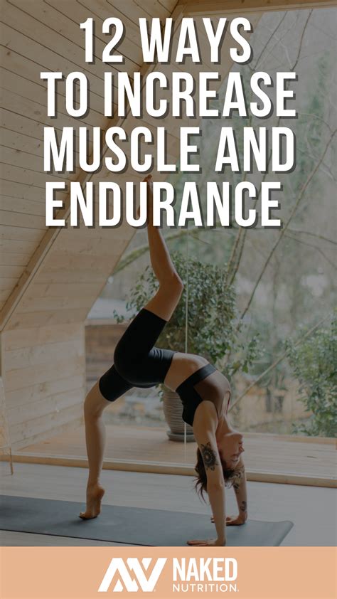 Top 12 Muscular Endurance Exercises to Increase Strength & Stamina - balustradellc