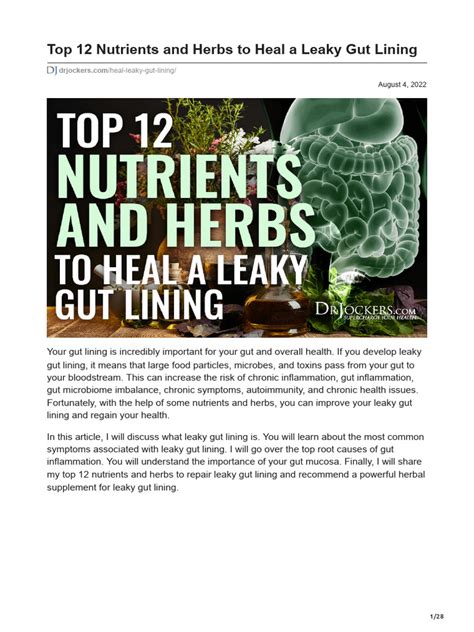 Top 12 Nutrients and Herbs to Heal a Leaky Gut Lining - balustradellc