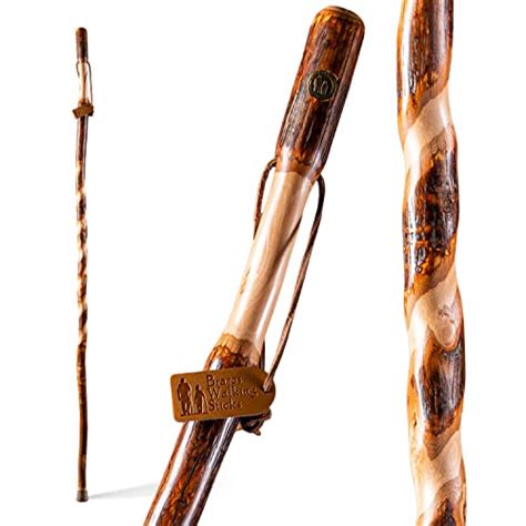 Top 14 Best Wood for a Walking Stick [ 2025] - balustradellc