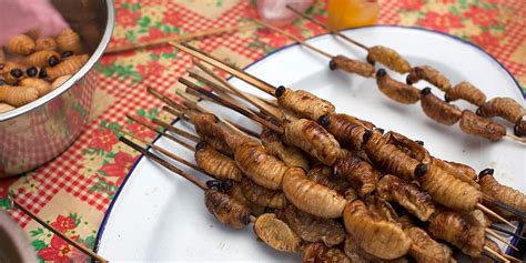 Top 15 Edible Insects in North America | Secrets of … - balustradellc